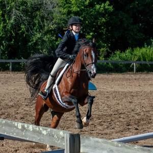 Meet your Posher, Tara